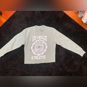 Vici Light Gray Sweatshirt